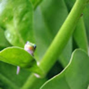 Meet your Posher, Emily